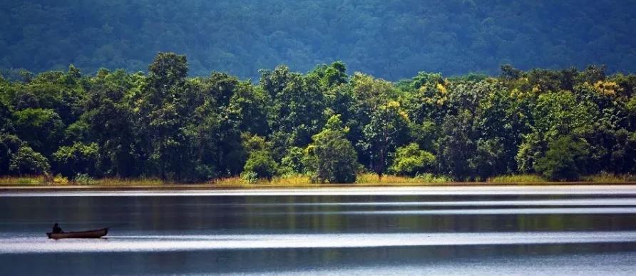 Discovering the Serenity of Satpura National Park