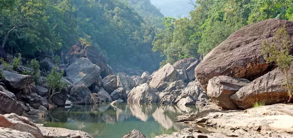 Exploring the Hidden Treasures of Satpura: A Jungle Safari Adventure