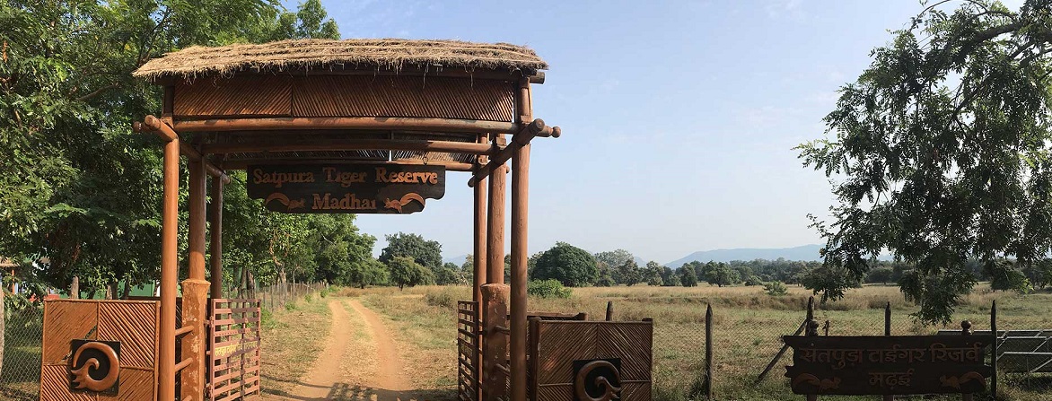 How to Plan a Day’s Safari in Satpura National Park