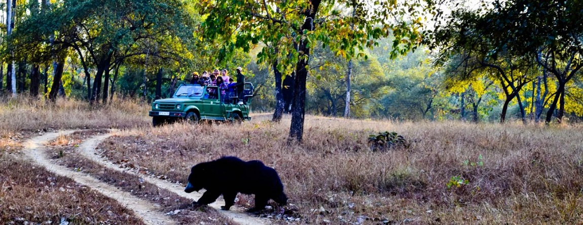 Opportunity to See the Wild Beauty of Satpura National Park